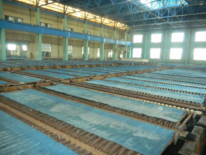 W020241121369708178453