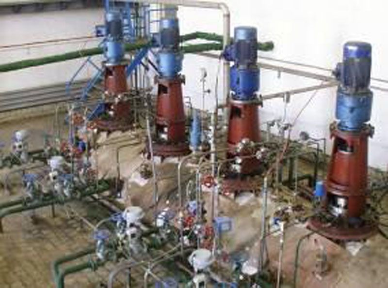 W020241121368836297248